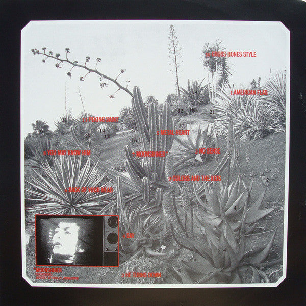 Cat Power – Moon Pix