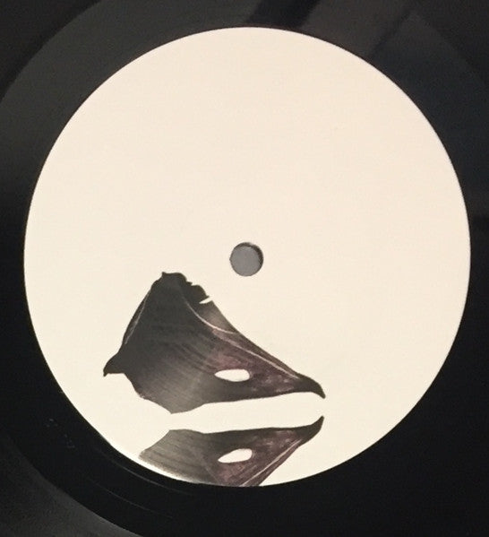 Coil – The New Backwards