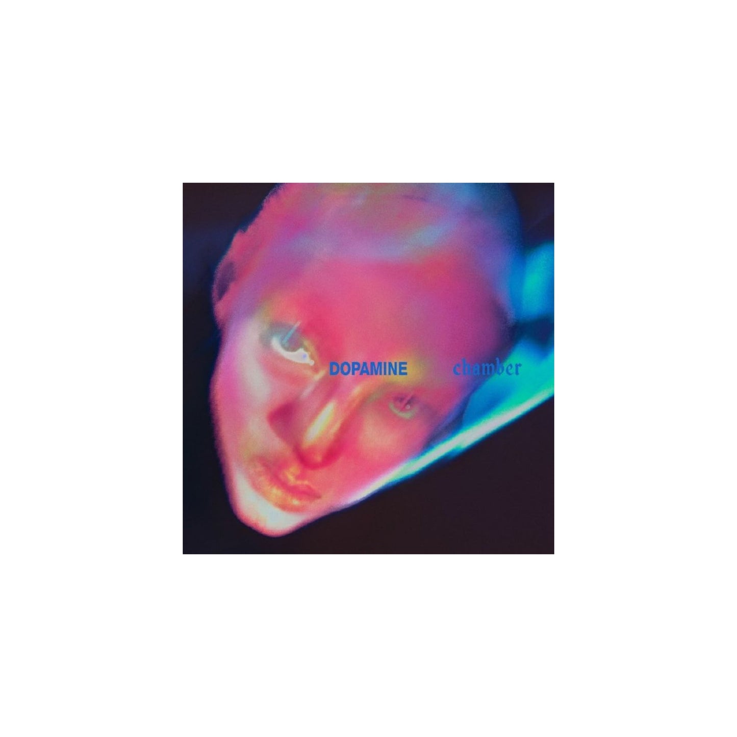 Fontaines DC - Dopamine Chamber (CD)